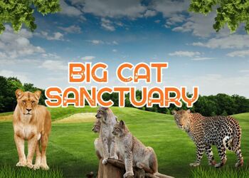 7/8CF and 7/8LM Visit to the Big Cat Sanctuary